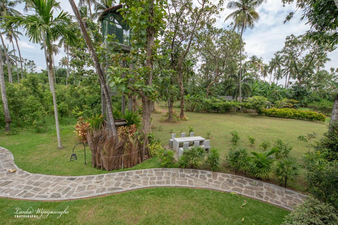 Tekkawatta Lodge *