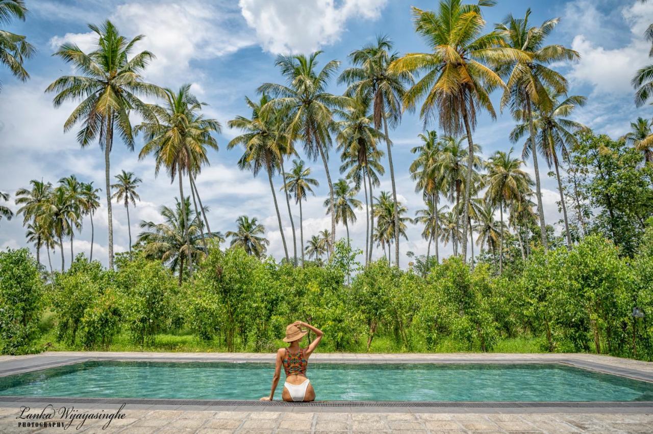 Tekkawatta Lodge Colombo