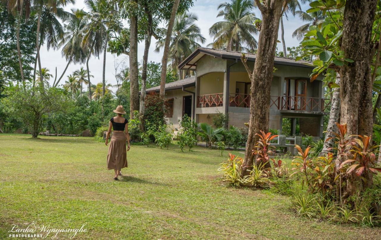Tekkawatta Lodge